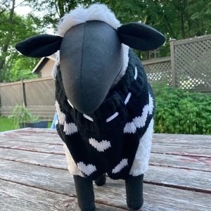 Doggie Fashion Outfits